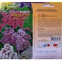 Бадан Маэстро смесь окрасок Цветущий сад 0,01 г