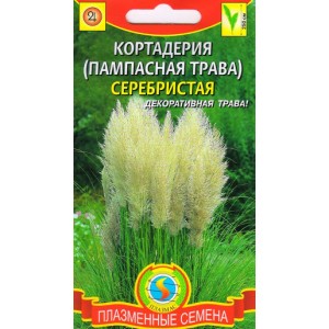 Кортадерия серебристая (пампасная трава) Плазменные семена 0,01 г